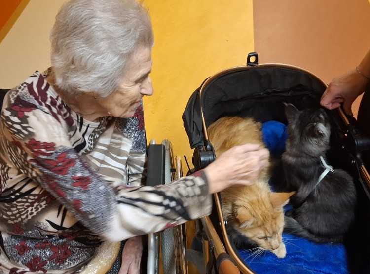 Návštěva kočičích kamarádů v Domově pro seniory Vysoké Mýto